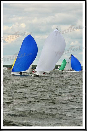 proof_2010_EScows_B 471