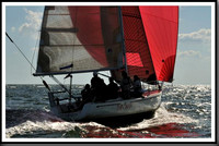 proof_2010_Vineyard_Race_0140
