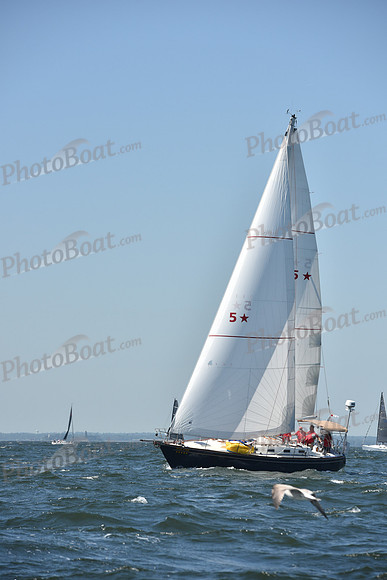 2019 Vineyard Race A_0226