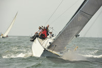 2015 Vineyard Race A 484