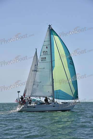 2019 Figawi_0737