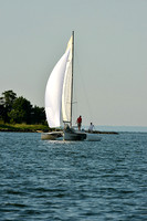 2015 Gov Cup C 1557