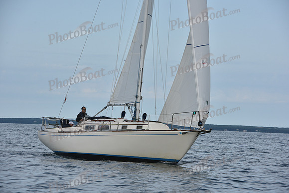 2019 Around Marthas Vineyard A_0156