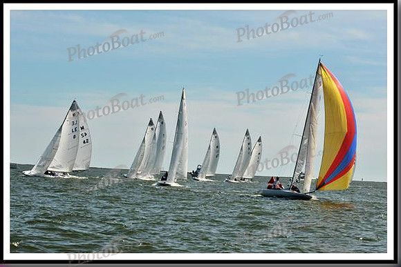 proof_2010_EScows_E 1278
