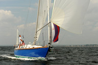 2013 Vineyard Race A 461