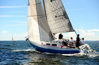 2014 Vineyard Race A 273