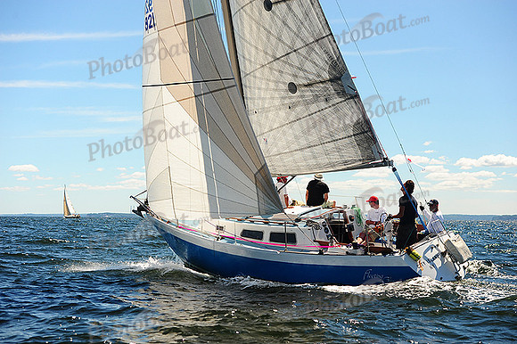 2014 Vineyard Race A 273