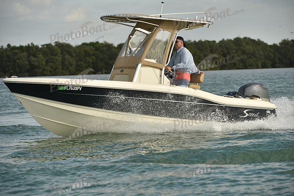 2019 Feb 10 Tampa Bay A_0941