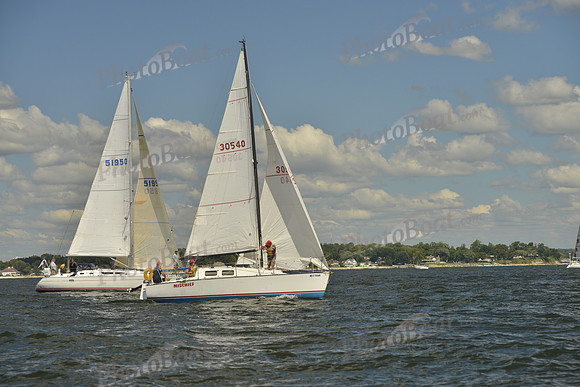 2016 Vineyard Race A_0251