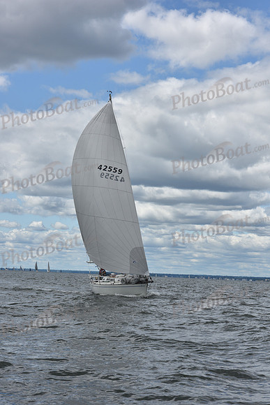2021 Vineyard Race A 0874
