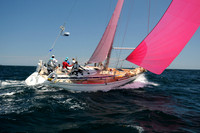 2012 Newport Bermuda 2530