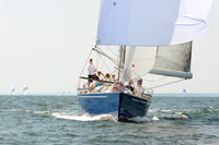 2012 Vineyard Race A 1077