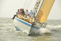 2015 Vineyard Race A 1482