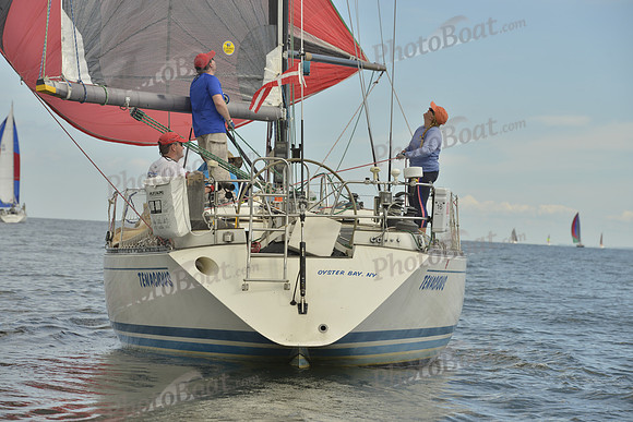 2016 Vineyard Race A_1100