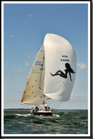 proof_2010_Vineyard_Race_1415