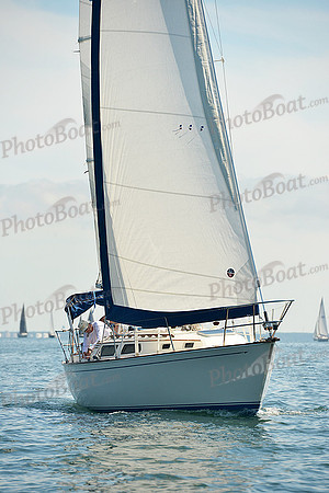 2015 Cape Charles Cup C 302