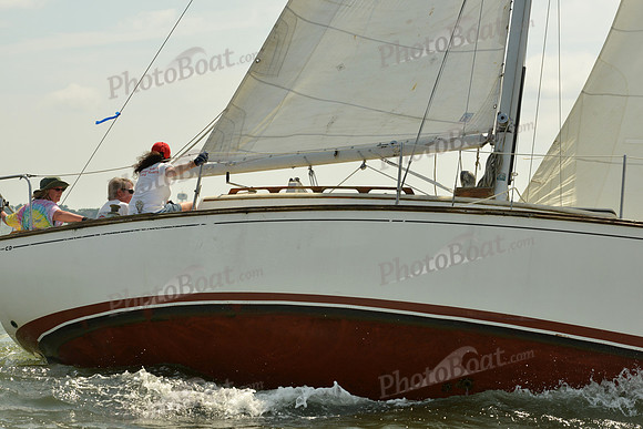 2016 Southern Bay Race Week G_0299