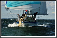 proof_2010_Vineyard_Race_0549