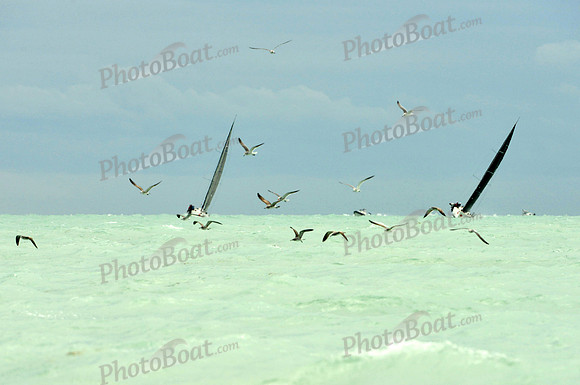 2016 Key West Race Week A_0298