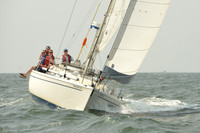 2015 Vineyard Race A 594