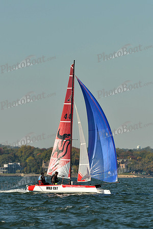 2015 HPDO C 1294