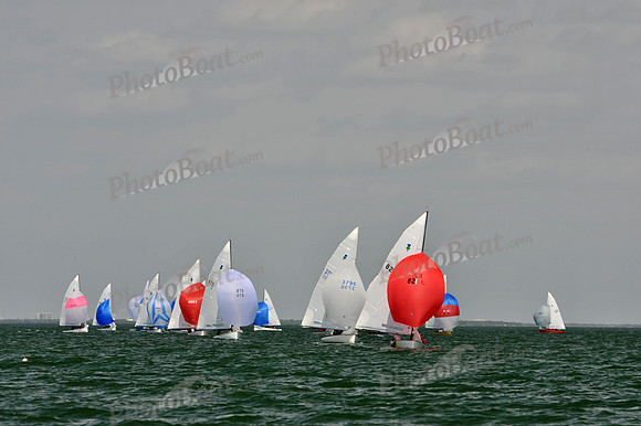 2012 Thistle Midwinters B 1443