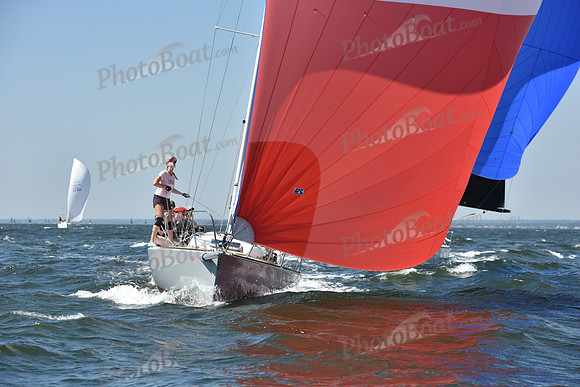 2019 Vineyard Race A_0717