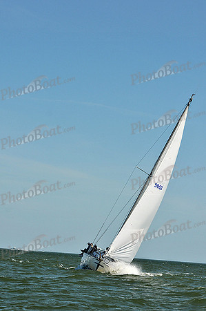 2013 Southern Bay Race Week D 229