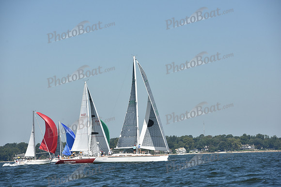 2019 Vineyard Race A_0206