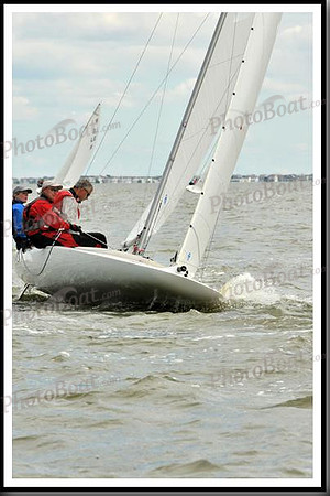 proof_2010_EScows_A 1393