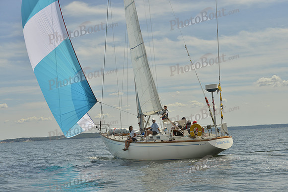 2016 Vineyard Race A_1007