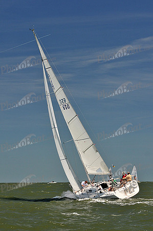 2014 Southern Bay Race Week D 1112
