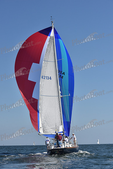 2020 Vineyard Race A_0801
