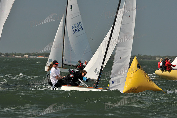2012 Thistle Midwinters B 826