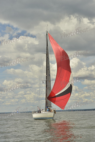 2016 Vineyard Race A_1085