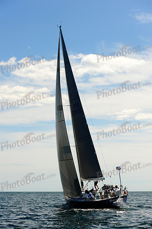 2014 Newport Bermuda A 511
