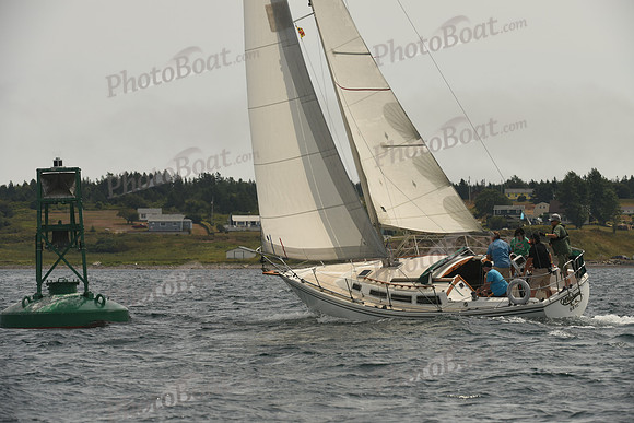 2016 Chester Race Week C_0769