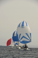 2016 Chester Race Week C_1488