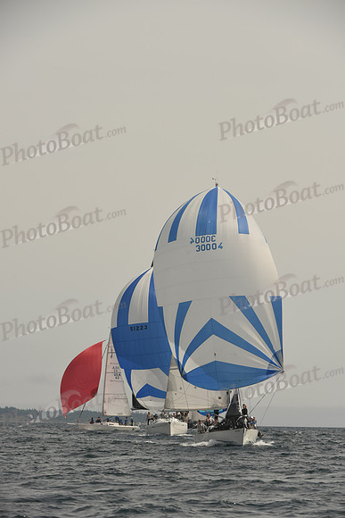 2016 Chester Race Week C_1488