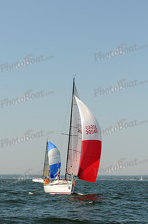 2012 Vineyard Race A 445