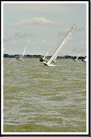 proof_2010_EScows_B 784