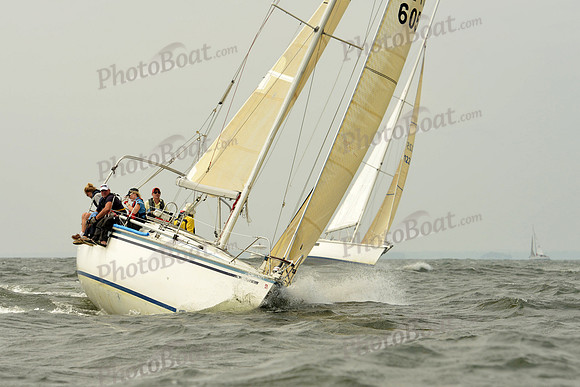 2015 Vineyard Race A 205