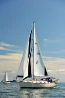2015 Cape Charles Cup C 214