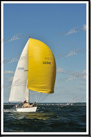 proof_2010_Vineyard_Race_0467