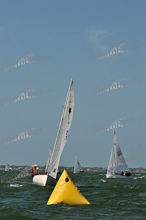 2012 Thistle Midwinters B 706