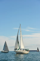 2015 Cape Charles Cup C 245