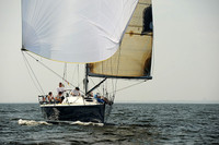 2013 Vineyard Race A 1846