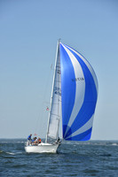 2019 Vineyard Race A_1047