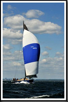 proof_2010_Vineyard_Race_0939