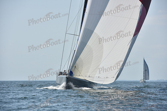 2019 Vineyard Race A_2837